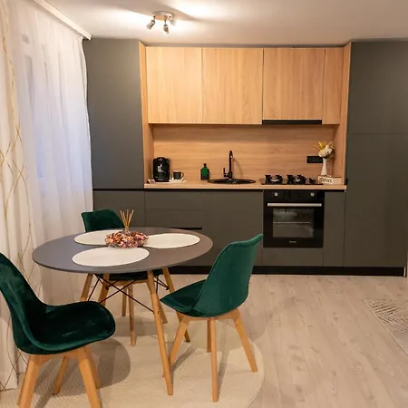 Apartment Luna Ap 1 Timisoara